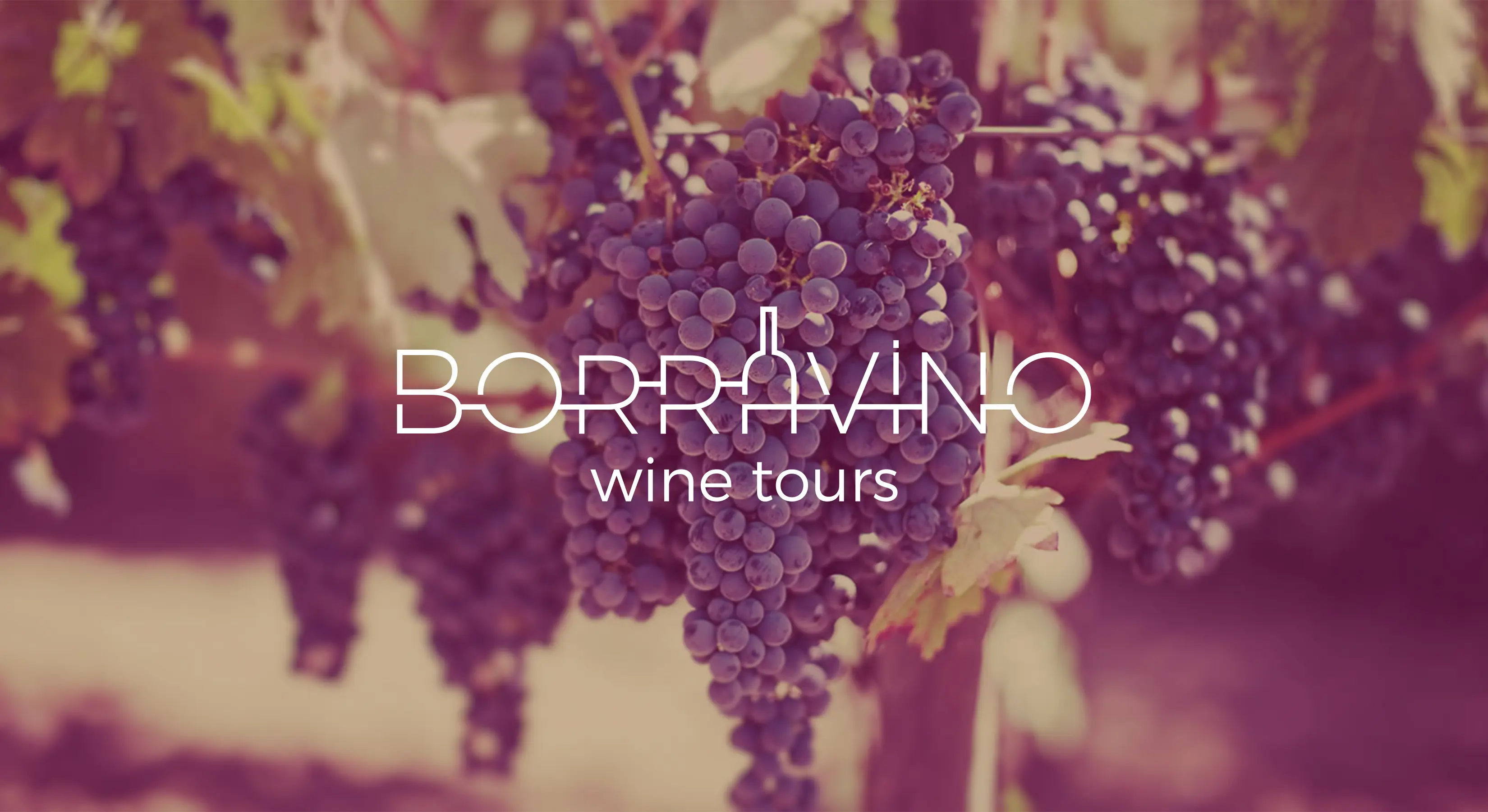 Borravino Logotype