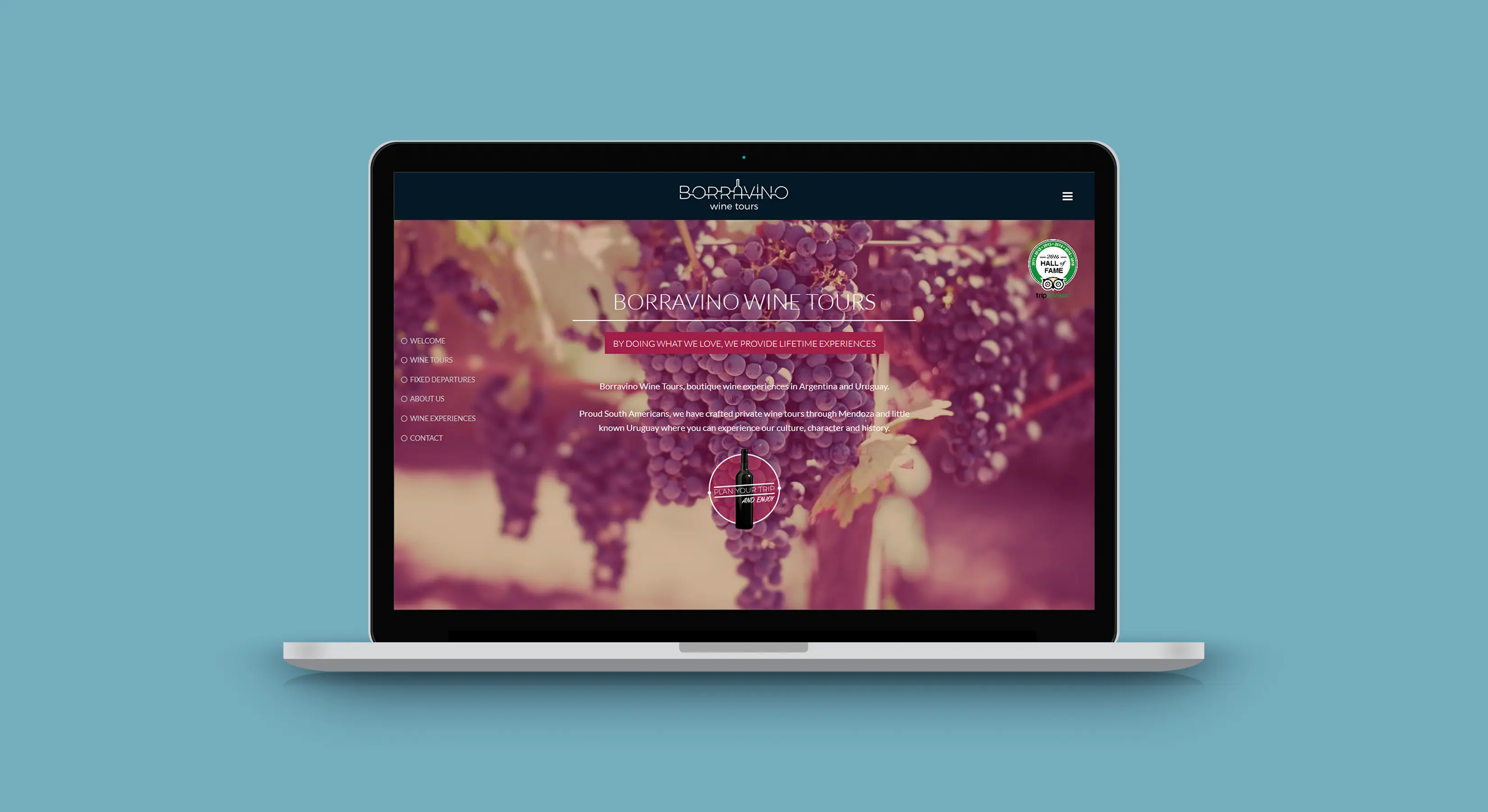 Borravino Website