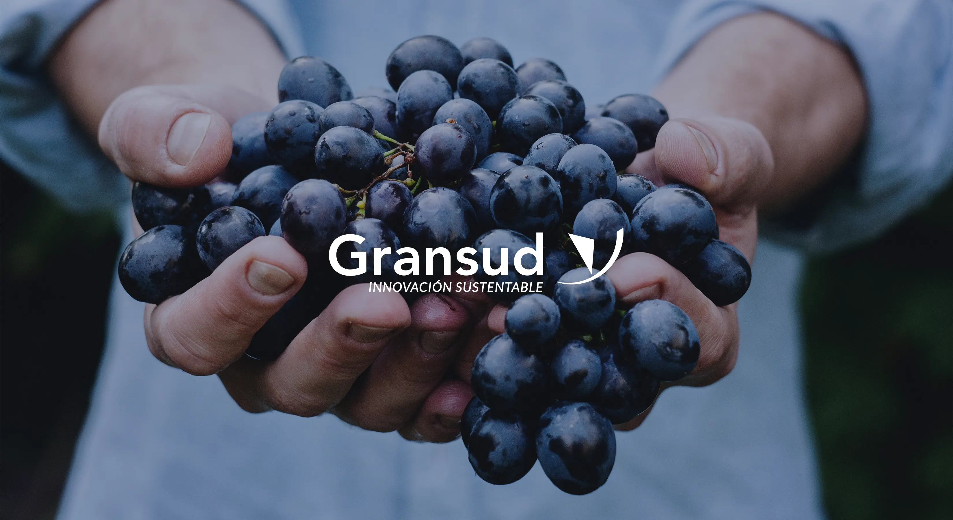 Gransud Brand Redesign